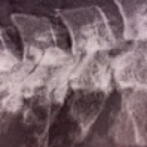 Meet your Posher, Bruce